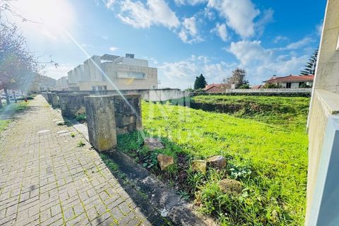 Terra a Areosa, Viana do Castelo, Areosa - € 110.000 | Ref: C503 - foto 3