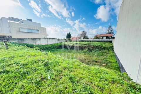 Terra a Areosa, Viana do Castelo, Areosa - € 110.000 | Ref: C503 - foto 6
