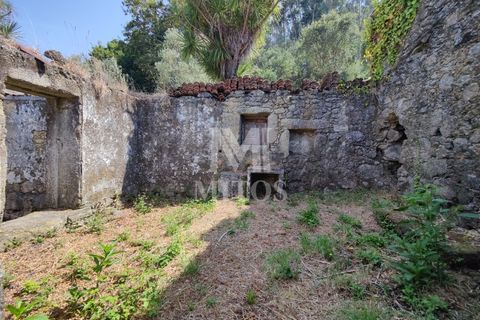 Villa i Barcelos, Braga, Barcelos - € 200.000 | Ref: R957 - foto 7