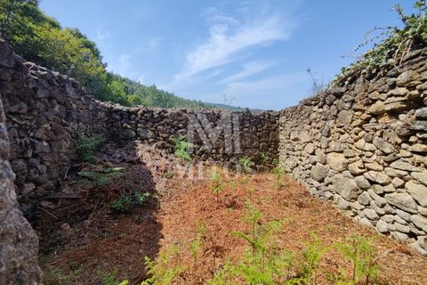 Villa i Barcelos, Braga, Barcelos - € 200.000 | Ref: R957 - foto 8