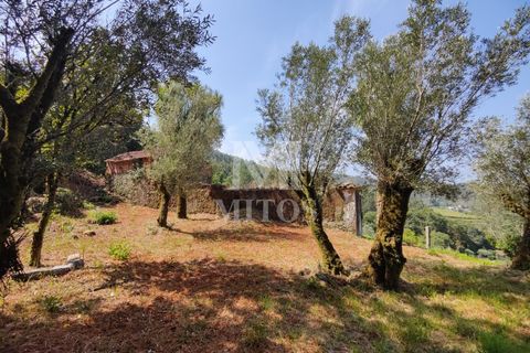 Villa i Barcelos, Braga, Barcelos - € 200.000 | Ref: R957 - foto 12