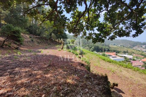 Villa i Barcelos, Braga, Barcelos - € 200.000 | Ref: R957 - foto 14