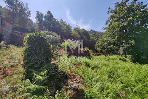 Villa i Barcelos, Braga, Barcelos - € 200.000 | Ref: R957 - foto 15
