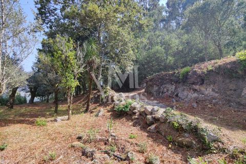 Villa i Barcelos, Braga, Barcelos - € 200.000 | Ref: R957 - foto 16