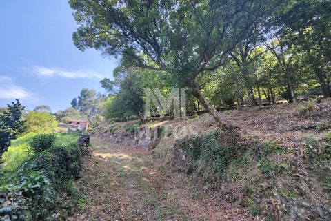 Villa i Barcelos, Braga, Barcelos - € 200.000 | Ref: R957 - foto 19