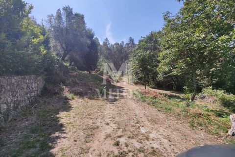 Villa i Barcelos, Braga, Barcelos - € 200.000 | Ref: R957 - foto 20