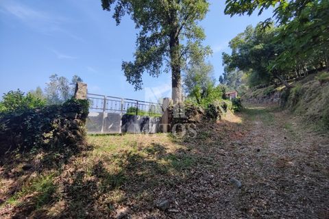 Villa i Barcelos, Braga, Barcelos - € 200.000 | Ref: R957 - foto 21