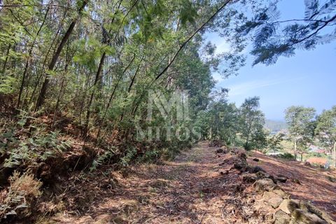 Villa i Barcelos, Braga, Barcelos - € 200.000 | Ref: R957 - foto 25