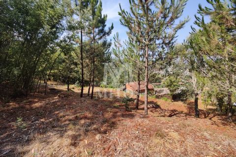 Villa i Barcelos, Braga, Barcelos - € 200.000 | Ref: R957 - foto 26