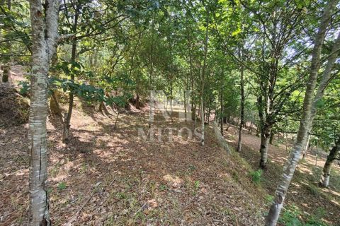 Villa i Barcelos, Braga, Barcelos - € 200.000 | Ref: R957 - foto 28