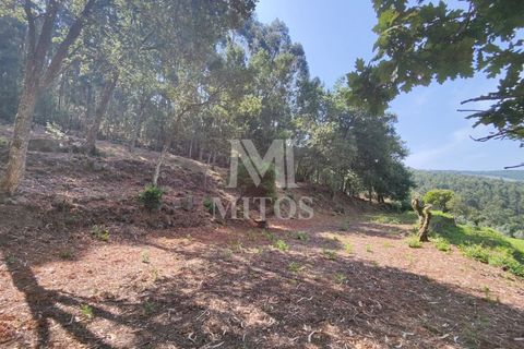Villa i Barcelos, Braga, Barcelos - € 200.000 | Ref: R957 - foto 29