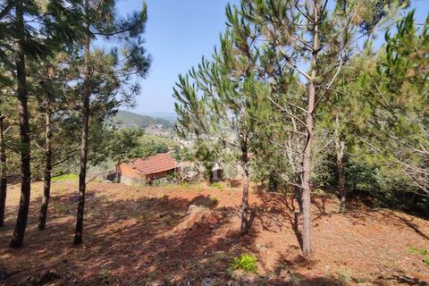 Villa i Barcelos, Braga, Barcelos - € 200.000 | Ref: R957 - foto 30
