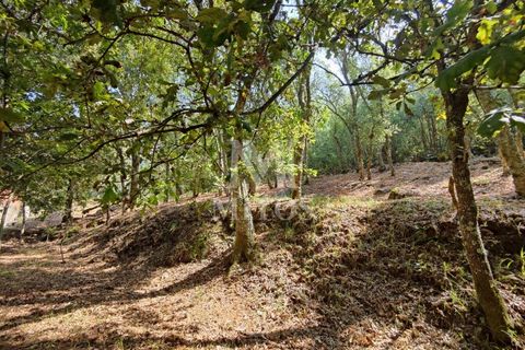 Villa i Barcelos, Braga, Barcelos - € 200.000 | Ref: R957 - foto 31