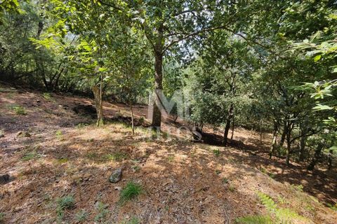 Villa i Barcelos, Braga, Barcelos - € 200.000 | Ref: R957 - foto 32
