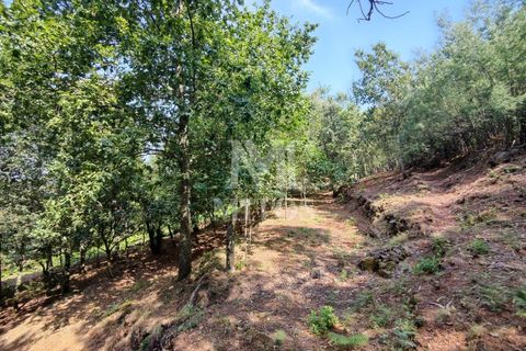 Villa i Barcelos, Braga, Barcelos - € 200.000 | Ref: R957 - foto 33