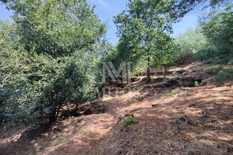 Villa i Barcelos, Braga, Barcelos - € 200.000 | Ref: R957 - foto 34