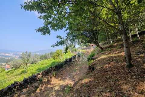 Villa i Barcelos, Braga, Barcelos - € 200.000 | Ref: R957 - foto 35