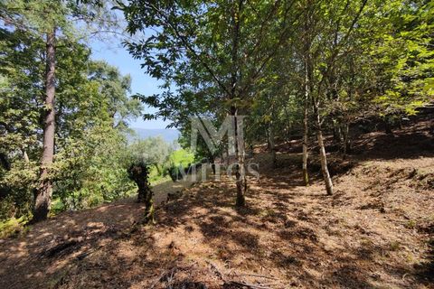 Villa i Barcelos, Braga, Barcelos - € 200.000 | Ref: R957 - foto 36