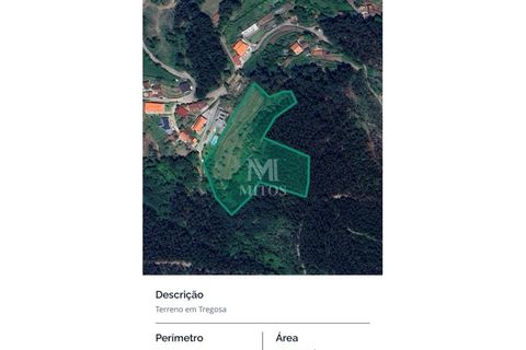 Villa i Barcelos, Braga, Barcelos - € 200.000 | Ref: R957 - foto 38