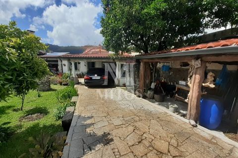 Villa i Viana do Castelo, Viana do Castelo, Viana do Castelo - € 685.000 | Ref: D260 - foto 26