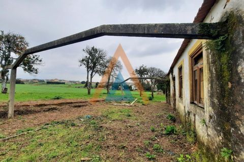 Farm i Ovar, Aveiro, Ovar - € 210.000 | Ref: VIL_1647 - foto 2