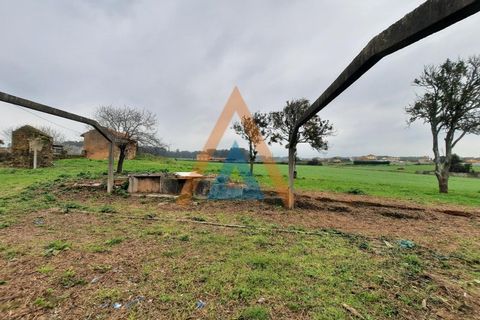 Farm i Ovar, Aveiro, Ovar - € 210.000 | Ref: VIL_1647 - foto 4
