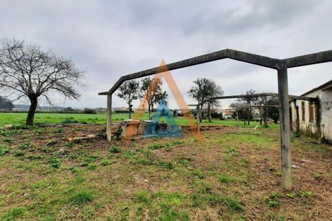 Farm i Ovar, Aveiro, Ovar - € 210.000 | Ref: VIL_1647 - foto 5