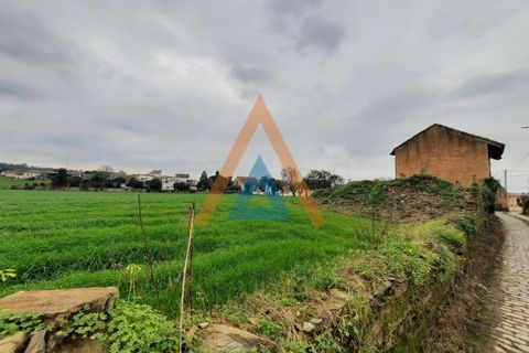 Farm i Ovar, Aveiro, Ovar - € 210.000 | Ref: VIL_1647 - foto 6