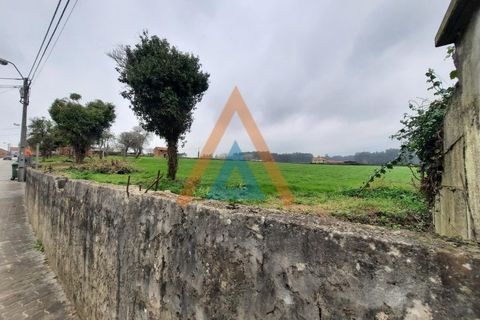 Farm i Ovar, Aveiro, Ovar - € 210.000 | Ref: VIL_1647 - foto 7