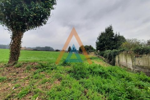 Farm i Ovar, Aveiro, Ovar - € 210.000 | Ref: VIL_1647 - foto 8