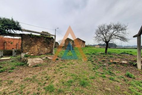 Farm i Ovar, Aveiro, Ovar - € 210.000 | Ref: VIL_1647 - foto 11