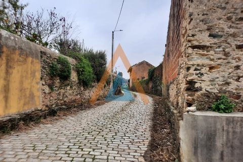 Farm i Ovar, Aveiro, Ovar - € 210.000 | Ref: VIL_1647 - foto 13