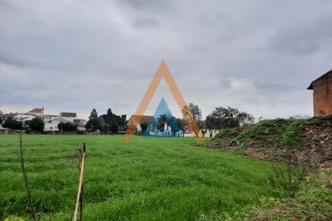 Farm i Ovar, Aveiro, Ovar - € 210.000 | Ref: VIL_1647 - foto 15