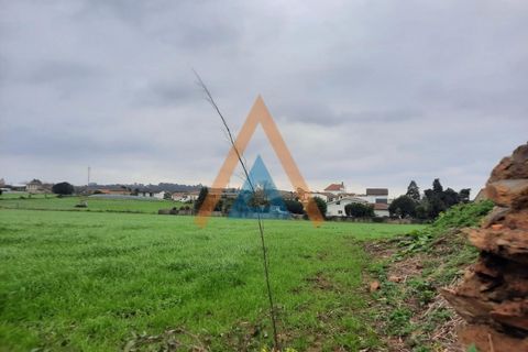 Farm i Ovar, Aveiro, Ovar - € 210.000 | Ref: VIL_1647 - foto 17