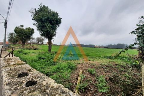 Farm i Ovar, Aveiro, Ovar - € 210.000 | Ref: VIL_1647 - foto 19