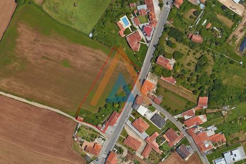 Farm i Ovar, Aveiro, Ovar - € 210.000 | Ref: VIL_1647 - foto 24