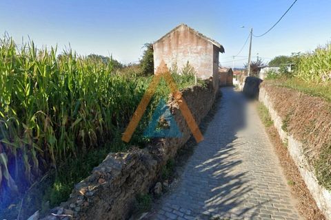 Farm i Ovar, Aveiro, Ovar - € 210.000 | Ref: VIL_1647 - foto 25
