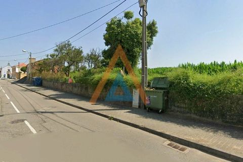 Farm i Ovar, Aveiro, Ovar - € 210.000 | Ref: VIL_1647 - foto 26