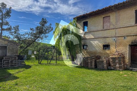 Helårsgrund i Jesi, Ancona, Jesi - € 149.000 | Ref: 2972 - foto 4