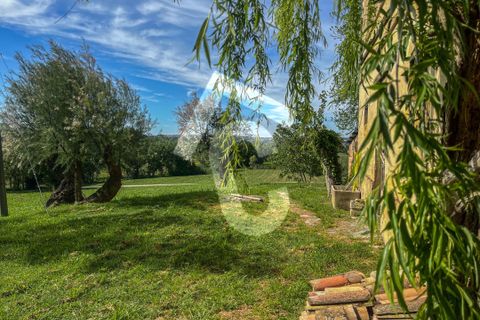 Helårsgrund i Jesi, Ancona, Jesi - € 149.000 | Ref: 2972 - foto 6