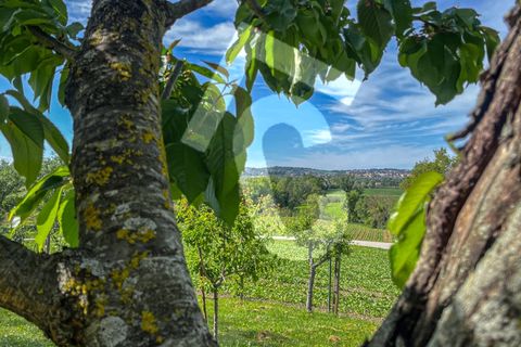 Helårsgrund i Jesi, Ancona, Jesi - € 149.000 | Ref: 2972 - foto 8