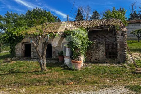Helårsgrund i Jesi, Ancona, Jesi - € 149.000 | Ref: 2972 - foto 12