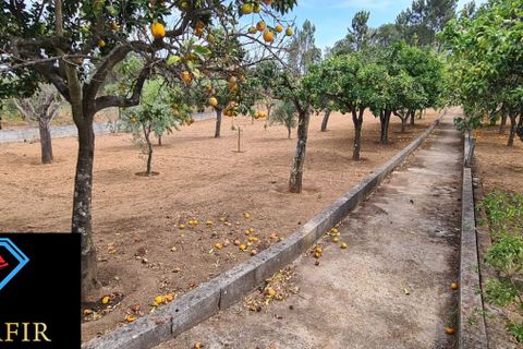 Helårsgrund i Tomar, Santarem, Tomar - € 95.000 | Ref: 00535 - foto 3