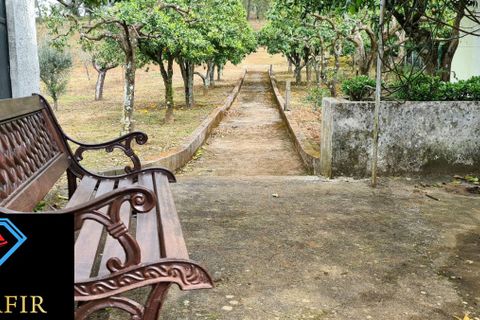Helårsgrund i Tomar, Santarem, Tomar - € 95.000 | Ref: 00535 - foto 4