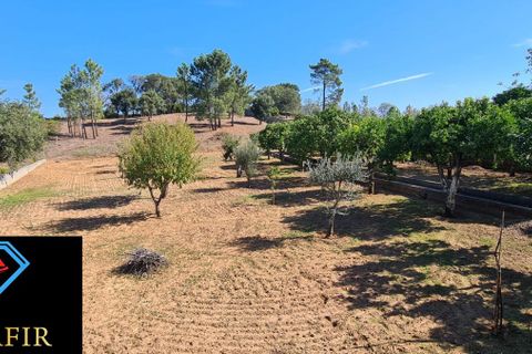 Helårsgrund i Tomar, Santarem, Tomar - € 95.000 | Ref: 00535 - foto 5