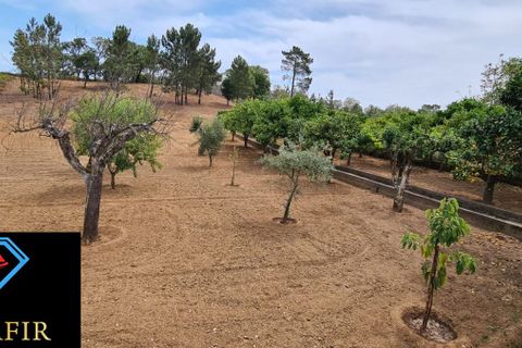 Helårsgrund i Tomar, Santarem, Tomar - € 95.000 | Ref: 00535 - foto 6