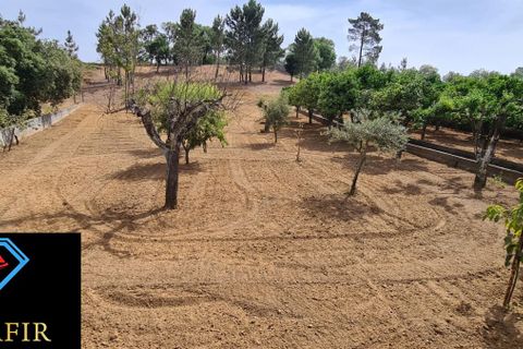 Helårsgrund i Tomar, Santarem, Tomar - € 95.000 | Ref: 00535 - foto 7