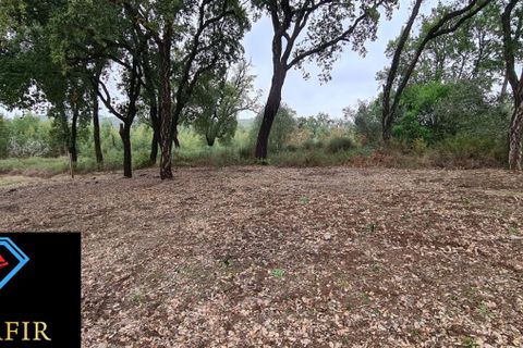 Helårsgrund i Tomar, Santarem, Tomar - € 95.000 | Ref: 00535 - foto 11