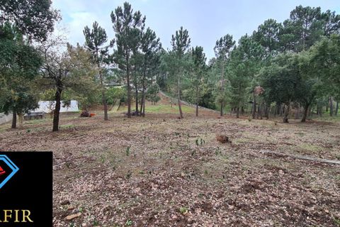 Helårsgrund i Tomar, Santarem, Tomar - € 95.000 | Ref: 00535 - foto 13