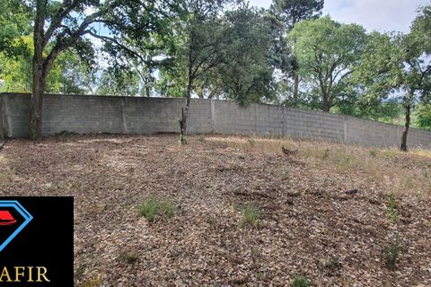 Helårsgrund i Tomar, Santarem, Tomar - € 95.000 | Ref: 00535 - foto 15